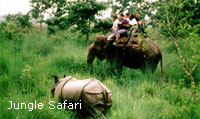 Jungle Safari in Nepal
