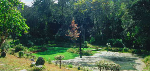 Godavari village home stay Tour